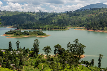 Fototapeta premium Sri Lanka Hill country landscape. Tea plantations and lake scenery. Nature scenery on bright, sunny day.