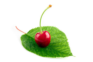 red and ripe sweet cherry