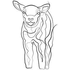 Lamb one line drawing. Sheep Farm Animal Continuous line Sketch Vector