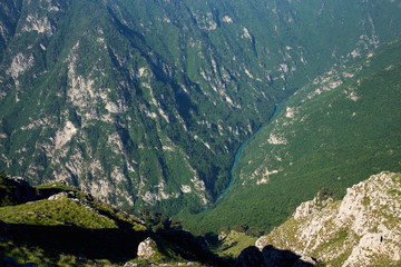 Fototapeta na wymiar A beautiful view of the canyon of the Tara river