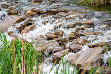 Whitewater river in green steppe beautiful view