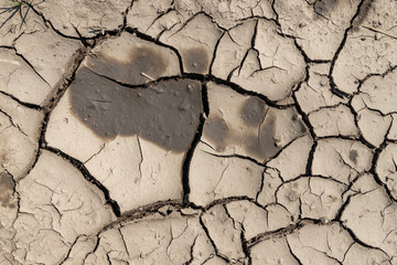 Spekana earth during drought. Lack of water in areas with low rainfall.