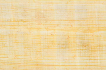 Real Egypt papyrus paper diagonal background and texture number 29. Close up macro.