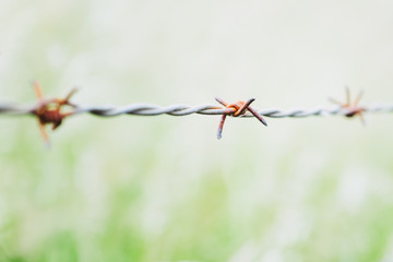 Close up sur un fil barbelé en métal
