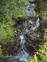 Small river steep stream through the forest