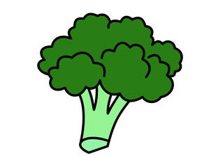 ブロッコリー(緑)