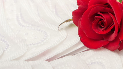 Red rose and sanitary pads. The concept of purity and freshness