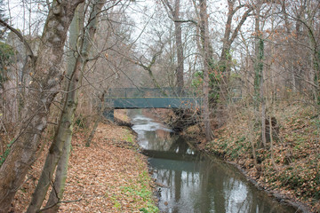 Creek flowing through Leipzig Zoo.