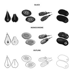 Vector illustration of food and raw symbol. Collection of food and nature stock vector illustration.