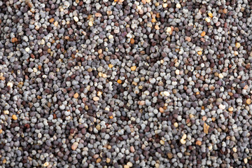Organic poppy seeds - Top view