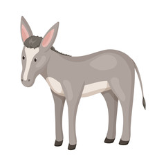 Isolated object of donkey and animal icon. Collection of donkey and grey stock vector illustration.