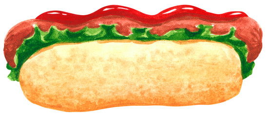 Fastfood, hot dog with salad leaves and ketchup, hand drawn watercolor illustration isolated on white