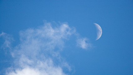 Light cloud and the moon