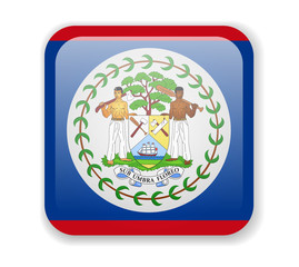 Belize flag bright square icon on a white background