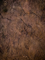 Mother Earth - Texture