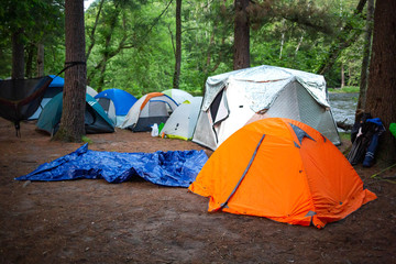 Tent camping in the woods at daylight in summer