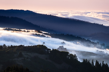 Fototapeta premium Sunset view of fog and clouds covering valleys in the Santa Cruz mountains; sea of clouds and pink sky illuminated by the setting sun visible in the background; San Francisco bay area, California