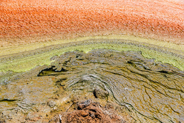Brown foam floating on the water of a pond, contaminated with agricultural residues.