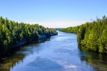 River through forest in summer under blue sky.