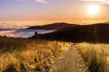 Sunset view of hiking trail in the Santa Cruz mountains; valley covered by a sea of clouds visible in the background; San Francisco bay area, California