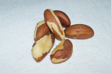 portion of Brazil nut (bertholletia excelsa) or castanha do para