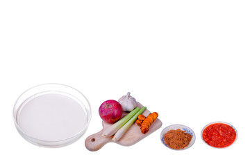 Onion, garlic  coconut milk ,tumeric,  kerisik,  lemon grass and chili  on white background