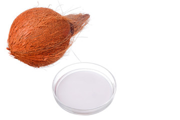 Coconut and coconut milk isolated on white background