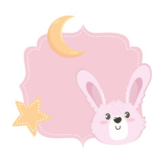 Isolated rabbit cartoon design vector illustration