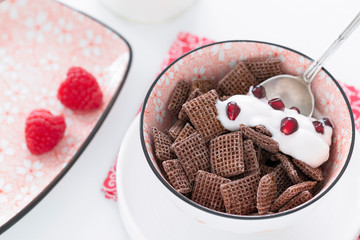 Breakfast cereals with pomegranate and raspberries in a red bowl. Red and white colors.