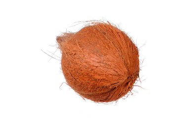 Coconut isolated on white background