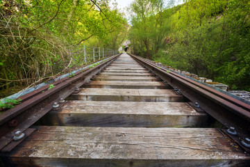 Fototapeta premium Abandoned railway bridge surrounded by lush vegetation .