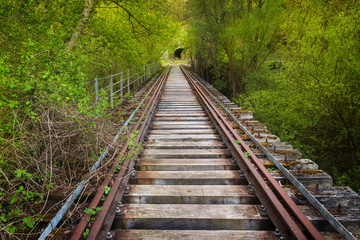 Obraz premium Abandoned railway bridge surrounded by lush vegetation .