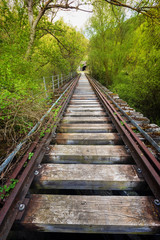 Fototapeta premium Abandoned railway bridge surrounded by lush vegetation .
