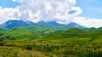 Fototapeta na wymiar Panorama of a mountain valley in the summer. Fabulous view of the mountain green ridge and the field in front of him, amazing nature, summer in the mountains. Travel and camping, tourism