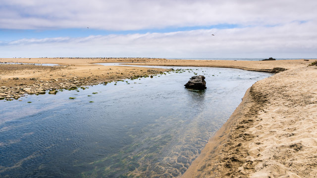 Gazos Creek meandering through sand dunes, Gazos Creek Año Nuevo State Park, Pacific Ocean coastline, California - Powered by Adobe