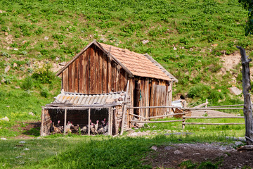 Obraz premium Old decrepit farmhouse surrounded by mountains and a mountain river with a blue sky. It is located in the mountains of Tien Shan.