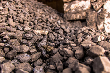 Coal Pile