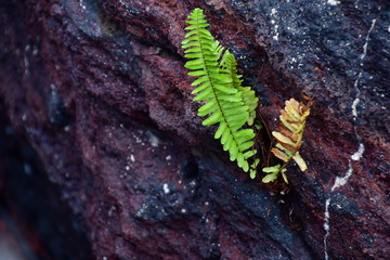PAISAJES DE GALÁPAGOS