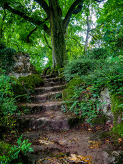 footpath park stairs