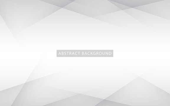 Abstract light silver background vector. Modern white background.
