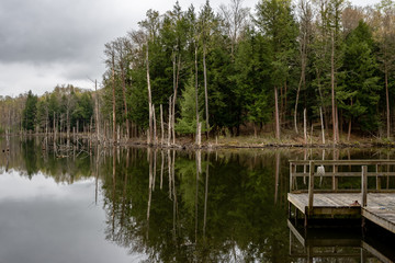 Naklejka premium Boat Dock