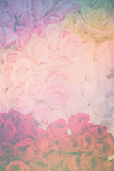 background of roses