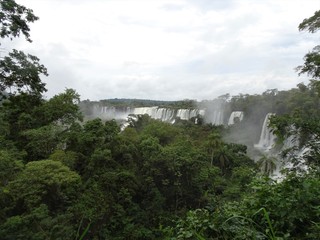 waterfall, water, river, nature, landscape, falls, stream, cascade, forest, fall, green, rock, tree, park, waterfalls, flowing, wet, flow, stone, beautiful, travel, environment, lake, natural, iguazu,