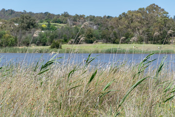 landscape with lake and blue sky