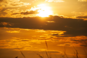 Fototapeta na wymiar Evening weather, Golden sky and cloud with Light sunshine, Dark shadow meadow in the field.