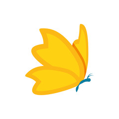 Isolated Butterfly design icon vector ilustration
