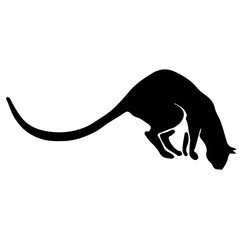 Hand Drawn Vector Cat Silhouette