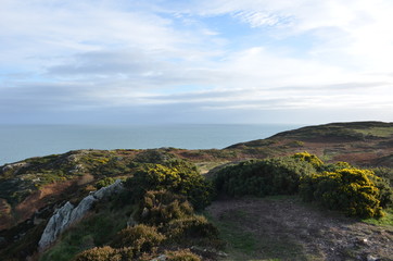 irish coast