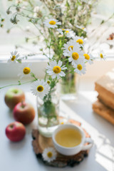 Cup of herbal chamomile tea on a windowsill. Chamomile tea in a whitecup and camomile flowers. Herbal tea for baby's stomach, remedy alternative. Copy space