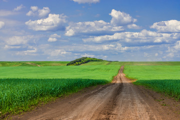 Fototapeta na wymiar picturesque view of road among agricultural field with white fluffy clouds in blue sky at sunny summer day